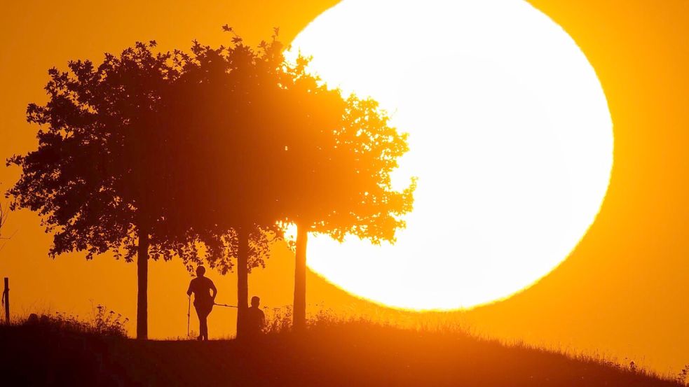 Die WMO berichtet gleich über mehrere Wärmerekorde. (Archivbild) Foto: Julian Stratenschulte/dpa