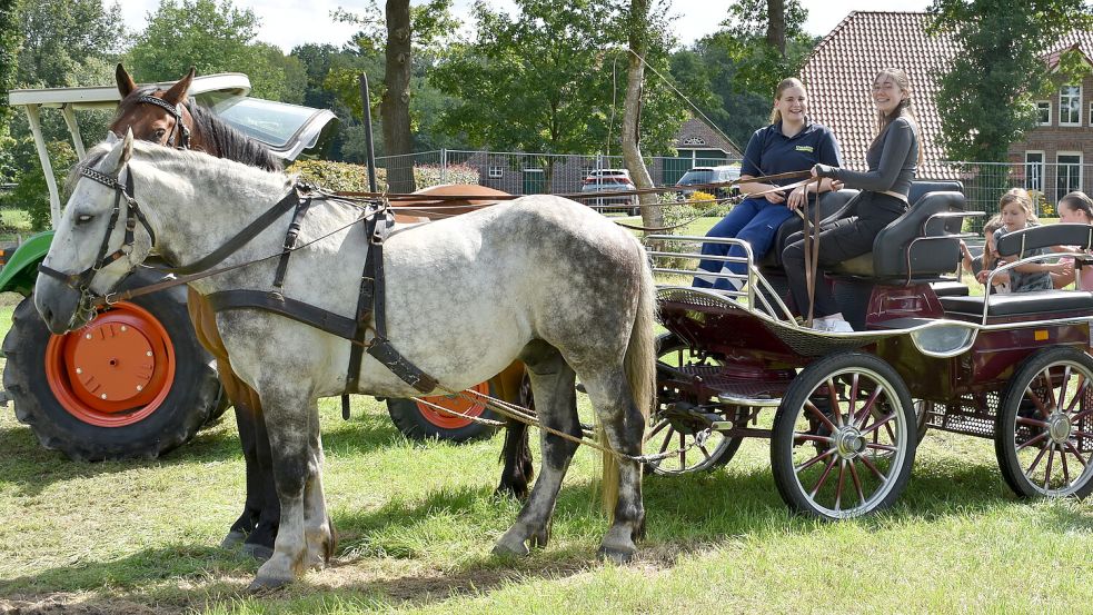 Die Kartoffeln werden beim Fest in Jübberde traditionell geerntet. Foto: Buntjer