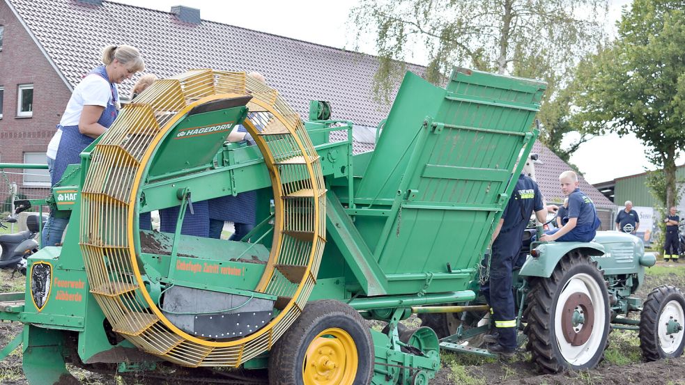 Der Erlös der Ernte wird gespendet. Foto: Buntjer