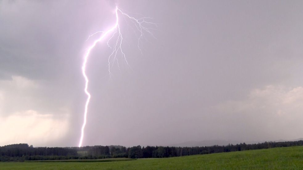 Blitze haben in Griechenland mindestens zehn Waldbrände verursacht. (Symbolbild) Foto: Bernd März/dpa