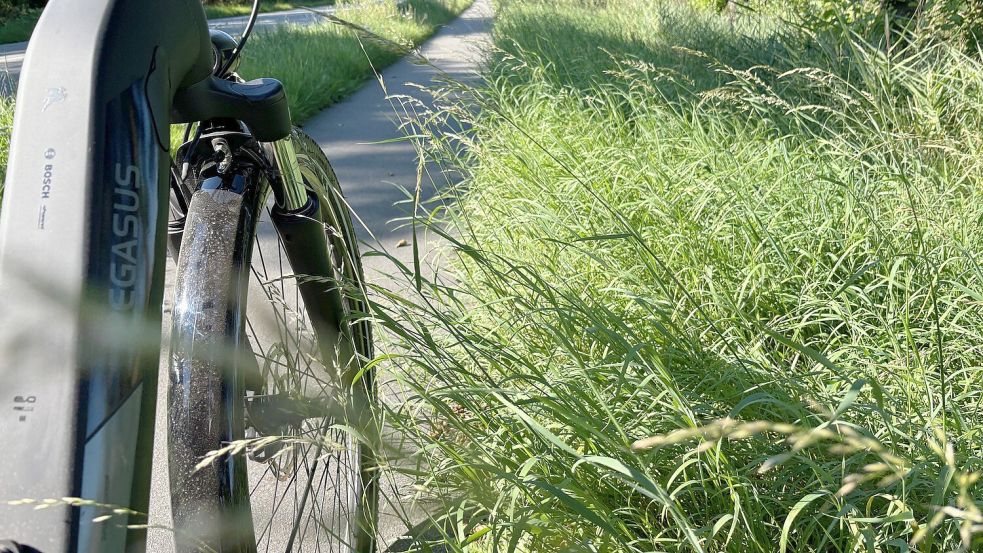 Entlang der Bundesstraße 70 zwischen Leer und Papenburg (Foto) und der Bundesstraße 438 zwischen Folmhusen und Ostrhauderfehn ranken häufig Gras und Brennnesseln weit auf die Fahrrad- und Fußwege rüber. Darüber ärgern sich Radfahrer. Foto: Ammermann