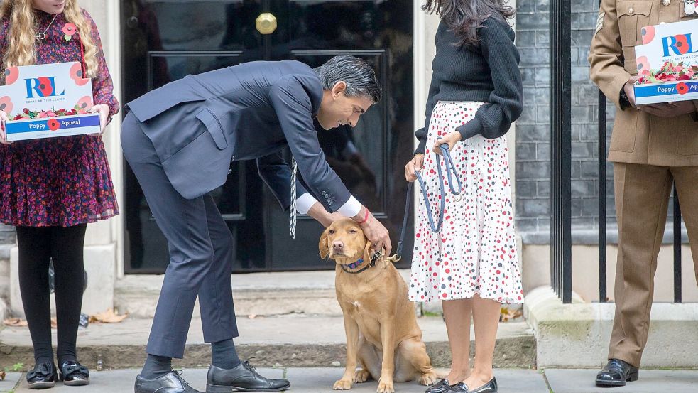 Rishi Sunaks Hund heißt Nova. (Archivbild) Foto: Tayfun Salci/ZUMA Press Wire/dpa