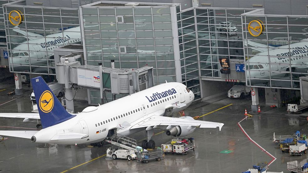 Ab Donnerstag fliegt Lufthansa auch wieder nach Israel. (Archivbild) Foto: Arne Dedert/dpa