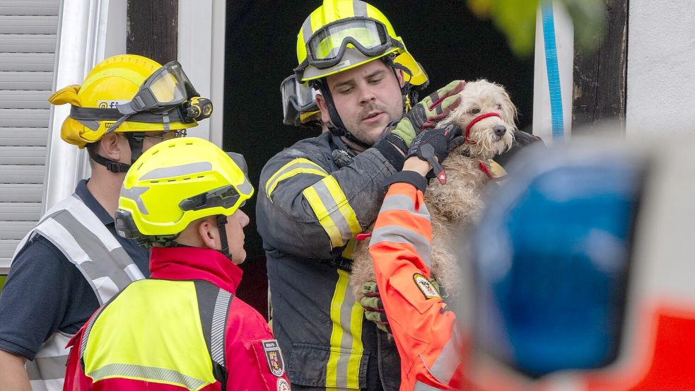 Erika Sorms Hund Queeni wird gerettet. (Archivbild) Foto: Harald Tittel/dpa