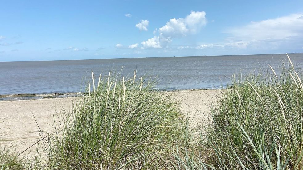 Sandstrand und Dünen laden auf Ostfrieslands Inseln und an der Küste zum Buddeln ein - Eltern sollten ihre Kinder immer im Blick haben. Foto: Hanz