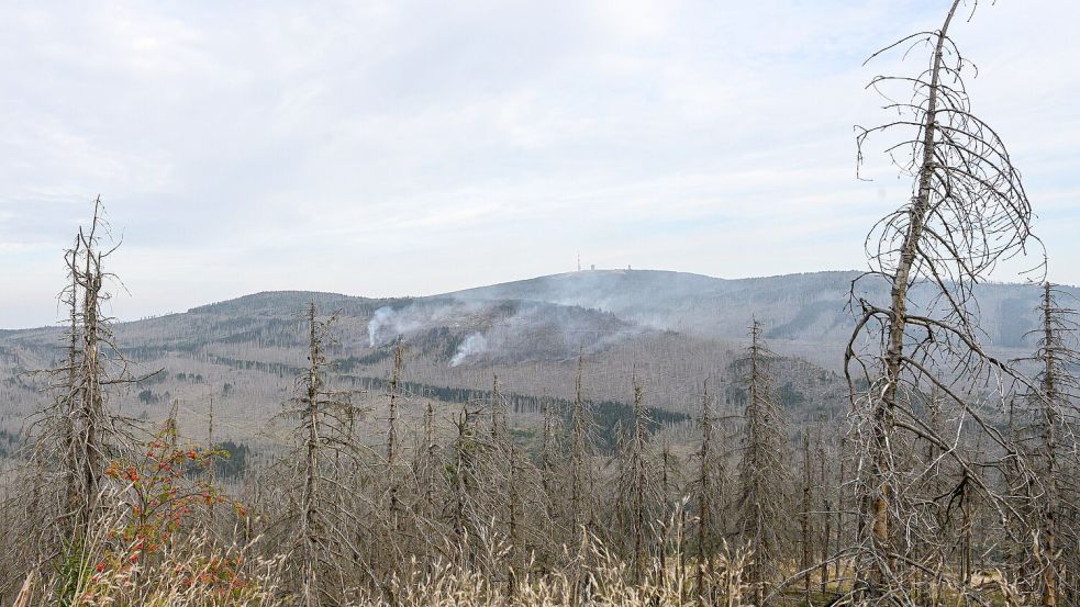 Es gibt noch mehrere Brandstellen am Brocken (Foto aktuell). Foto: Swen Pförtner/dpa