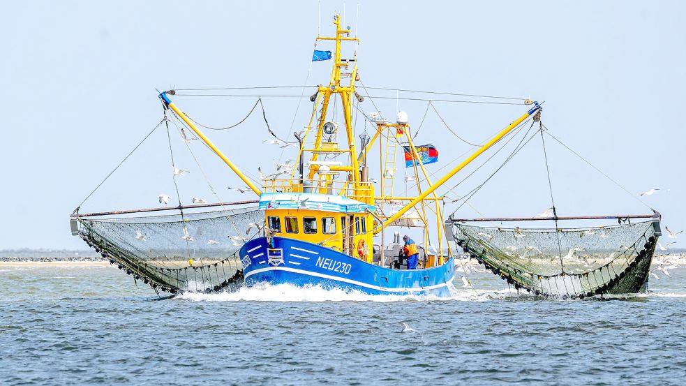 Ein Krabbenkutter ist auf der Nordsee unterwegs. Foto: Schuldt/DPA