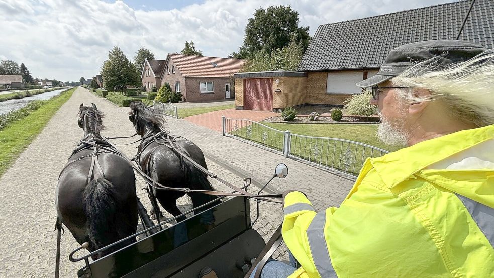 Hans Meyer hat alles im Griff: Mit Zügel und Fahrpeitsche dirigiert er seine Friesen. Foto: Janßen