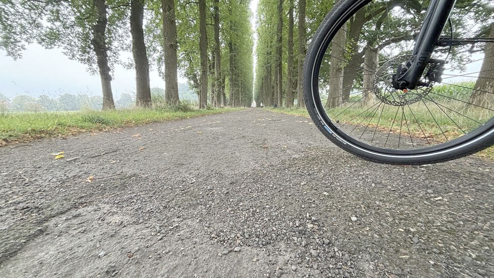 Der Untergrund der Allee ist derzeit noch in einem schlechten Zustand. Foto: Bothe