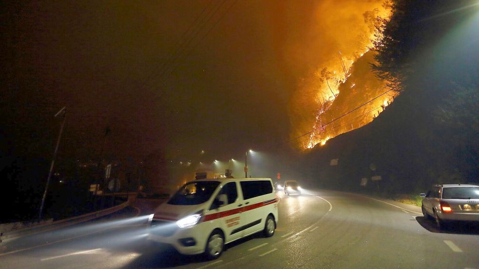 Die zerstörte Fläche ist bereits doppelt so groß wie der Bodensee. (Archivbild) Foto: Bruno Fonseca/AP/dpa