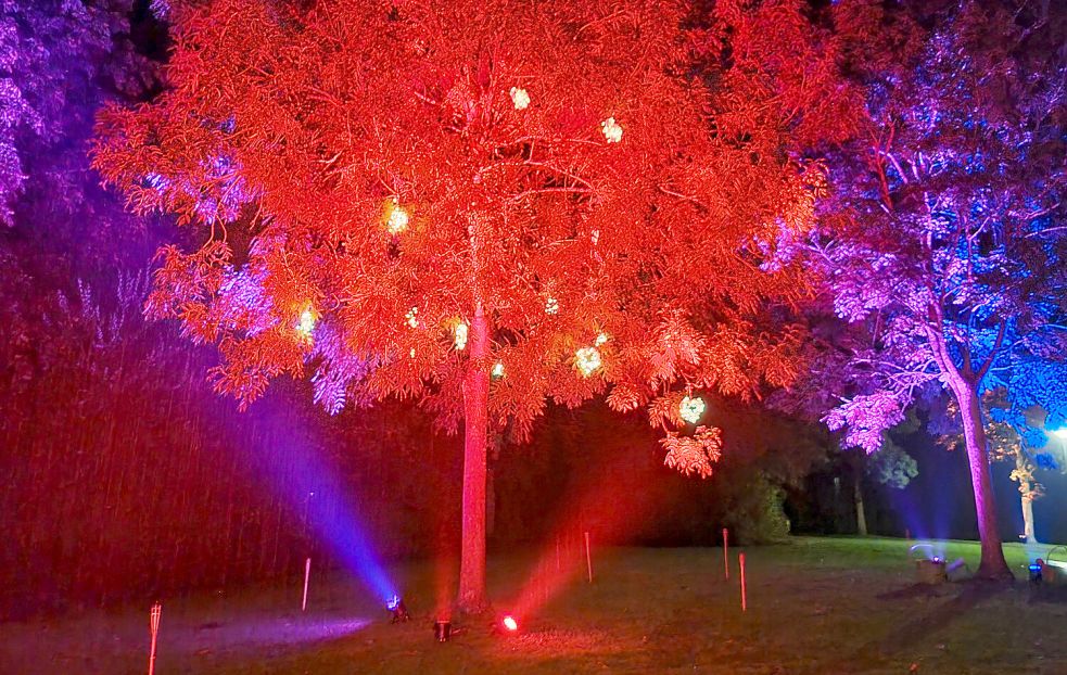 Die Bäume im Park werden in buntes Licht getaucht. Foto: Förderverein der Oldersumer Feuerehr