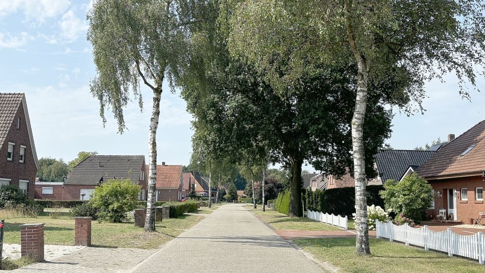 In der Birkenstraße in Flachsmeer soll einst der alte Sportplatz des FC Frisia Völlenerkönigsfehn gewesen sein. Doch eine andere Quelle bestätigt das nicht. Foto: Spindler