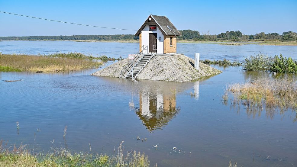 Rund um das Pegelhäuschen auf einem Sockel am Oderufer in Ratzdorf (Oder-Spree-Kreis) ist schon der hohe Wasserstand zu sehen. Foto: Patrick Pleul/dpa