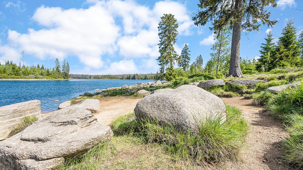 Der Nationalpark Harz hat im Herbst einen besonderen Charme für Wanderer. Foto: IMAGO/Zoonar