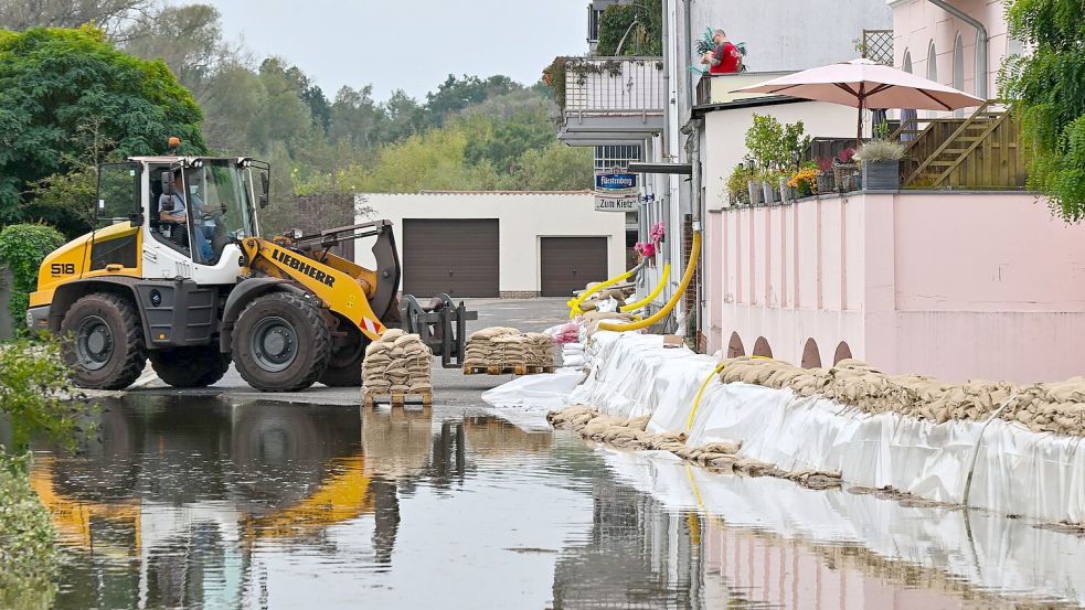 Ein Sandsack-Wall wird in einem Stadtteil von Eisenhüttenstadt verstärkt. Dort hat das Hochwasser Straßen überflutet. Foto: Patrick Pleul/dpa