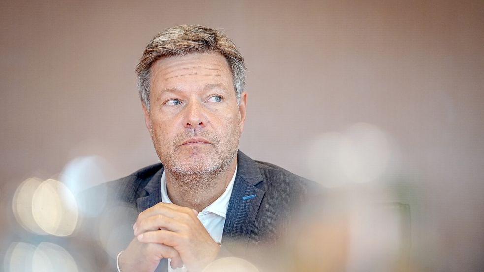 Robert Habeck hat den Rücktritt der Parteispitzen im ZDF gelobt. Foto: dpa/Kay Nietfeld