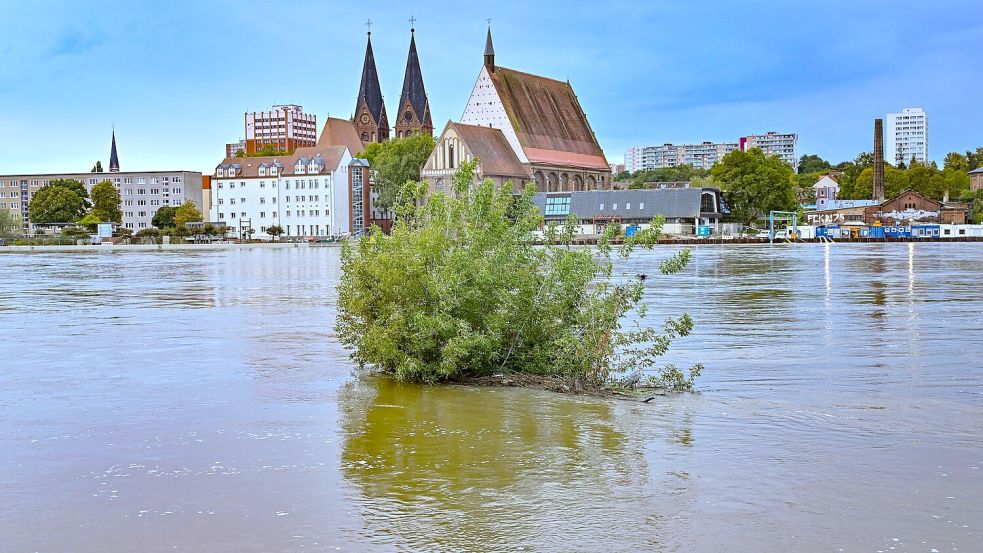 Das Wasser der Oder steht noch sehr hoch in Frankfurt. Foto: Patrick Pleul/dpa