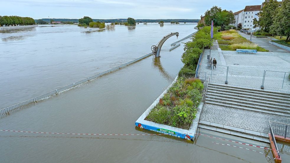 Land unter - die Wassermassen reichen an die Oderpromenade in Frankfurt. Foto: Patrick Pleul/dpa