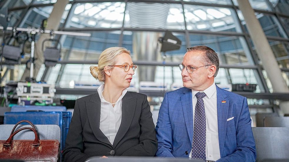 Alice Weidel soll einer Vorabsprache zufolge Kanzlerkandidatin der AfD werden (Archivbild) Foto: Kay Nietfeld/dpa