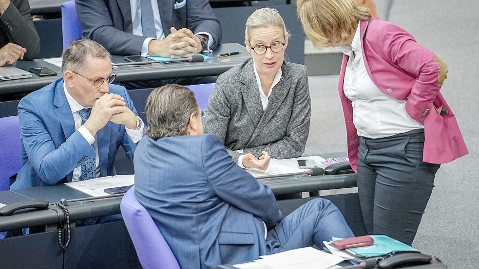 Gegen die AfD könnte es im Bundestag bald ein Verbotsverfahren geben. Foto: dpa/Kay Nietfeld