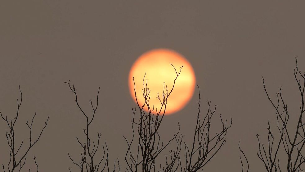 Der gesamte Himmel ist bei den Bränden in Rauch gehüllt. Foto: Diego Cardoso/dpa