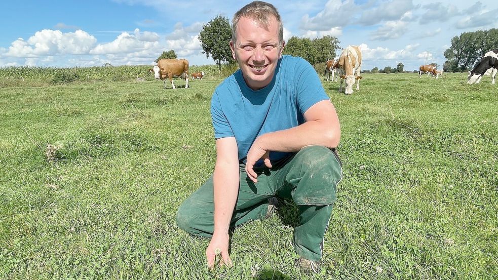 Peter Brink schätzt den Klee auf der Weide. Foto: Bär