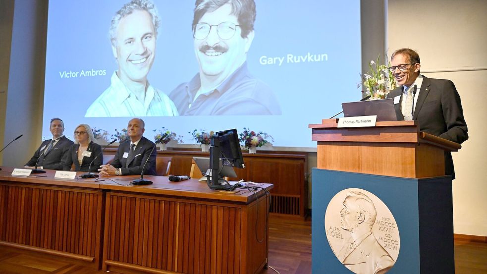 Thomas Perlmann (r), Sekretär der Nobelversammlung des Karolinska-Instituts, verkündet die Gewinner des Nobelpreises für Medizin 2024, Victor Ambros (l-r, Leinwand) und Gary Ruvkun. Foto: Christine Olsson/TT News Agency/AP/dpa