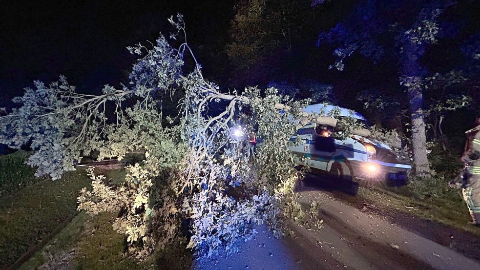 Durch den Aufprall stürzte der Baum auf die Straße. Foto: Giehl/Feuerwehr Saterland