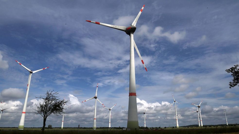 Die Energieagentur erwartet, dass bis 2030 mehr als die Hälfte des weltweiten Stroms aus emissionsarmen Quellen erzeugt wird. (Archivbild). Foto: Bernd Wüstneck/dpa