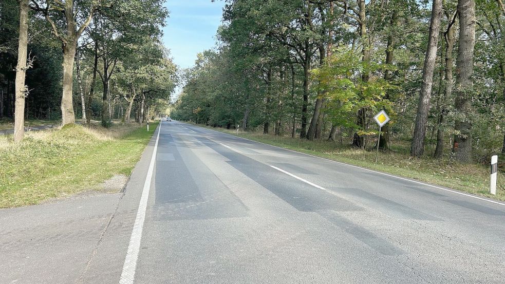 Die B 70 wird zwischen Dörpen und Kluse erneuert. Foto: NLStBV