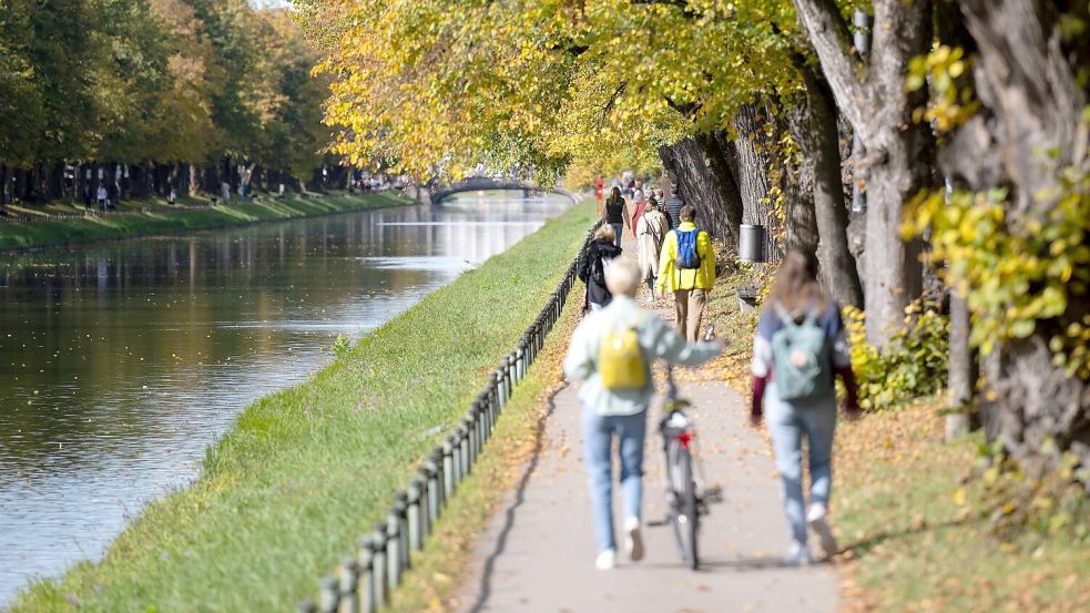 Nicht nur im Nymphenburger Park - in Parks mit alten Bäumen und vielen Wildtieren fühlen sich auch Zecken wohl. (Archivfoto) Foto: Sven Hoppe/dpa