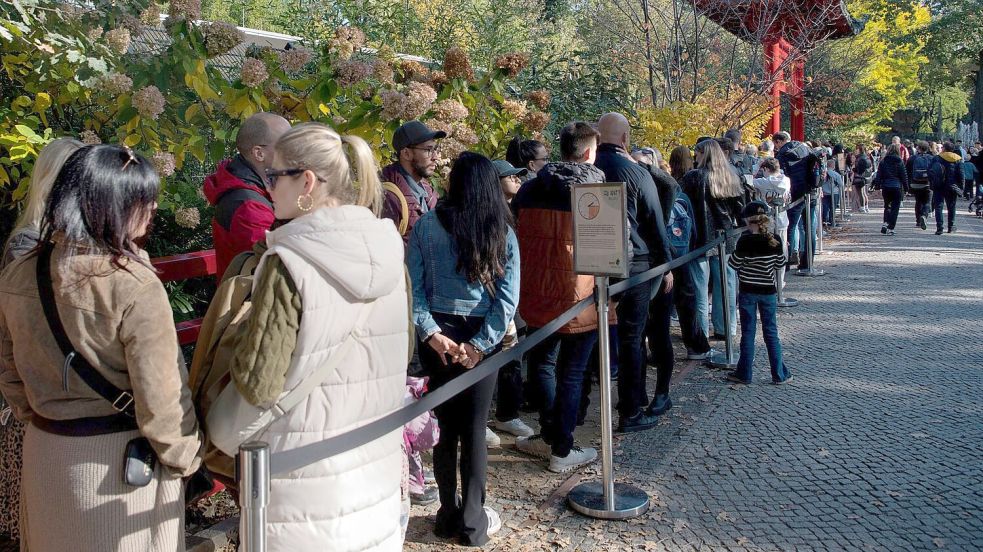 Manch ein Panda-Fan stellt sich sogar zwei Mal in die Schlange. Foto: Paul Zinken/dpa