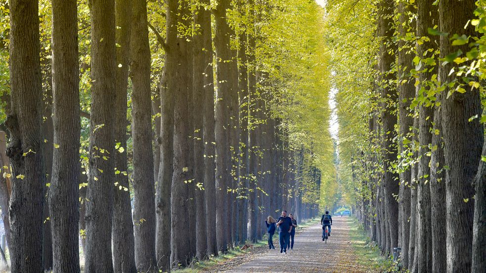 Nach einem Spaziergang – wie hier im Evenburg-Park in Leer – schmeckt das herbstliche Essen gleich doppelt. Foto: Ortgies