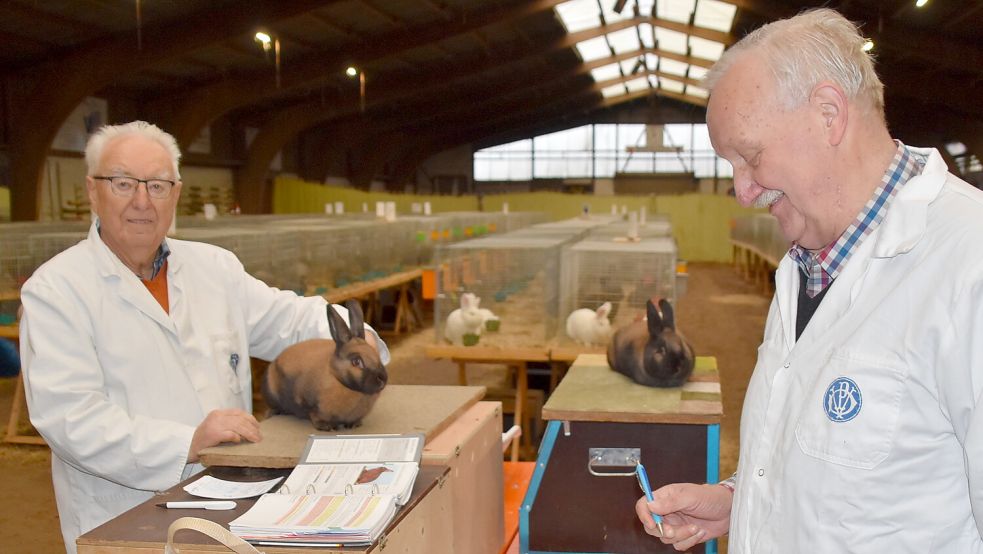 Hans-Heinrich Müller (links) ist nach Angaben der Veranstalter mit 87 Jahren der dienstälteste Preisrichter in Niedersachsen. Das Bild zeigt Müller zusammen mit Preisrichter Johann Vrielink, dem Vorsitzenden des Landesverbandes Weser-Ems der Rassekaninchenzüchter, während der Bewertung der Rassekaninchen in der Reithalle in Ihrhove.