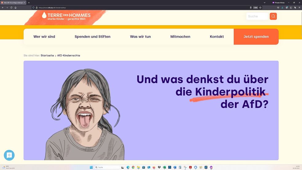 Die Kinderrechtsorganisation "Terre des Hommes" hat sich kritisch mit der Kinderpolitik der AfD auseinandergesetzt: "Viele AfD-Vorschläge widersprechen UN-Kinderrechten." Quelle/Grafik: Terre des Hommes / Screenshot vom 30.10.2024