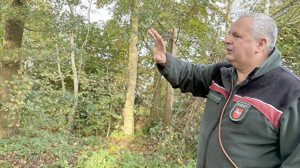 Bezirksförster Erich Delfs erklärt, welche Bäume am Hahnentanger See weichen sollen. Rund 100 sind es insgesamt. Foto: Janßen