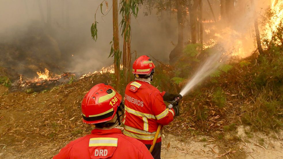 Die Zahl der Waldbrände wächst mit dem Klimawandel (Archivbild) Foto: Bruno Fonseca/AP