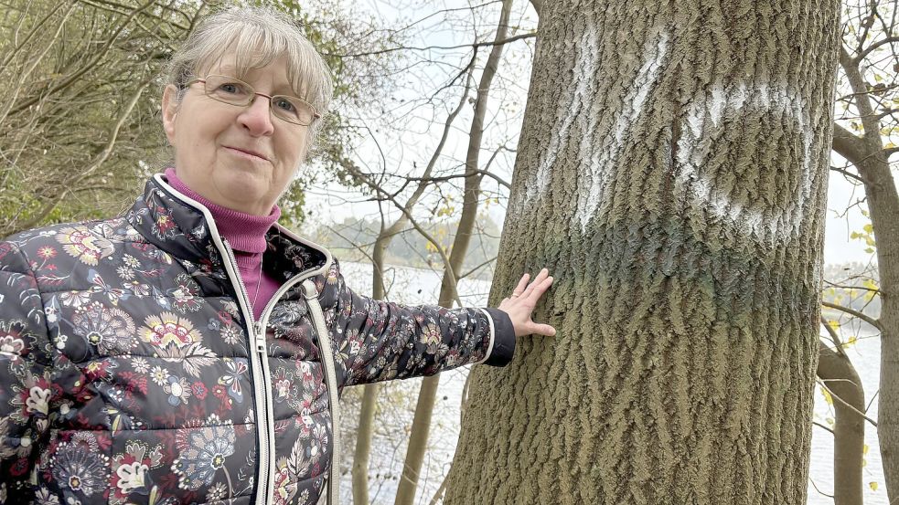 Kornelia Kwasnitza an einem der für die Fällung vorgesehenen Bäume. Hier haben Unbekannte nicht nur die Markierung übermalt, sondern auch ein großes „No“ (Nein) aufgesprayt. Foto: Janßen