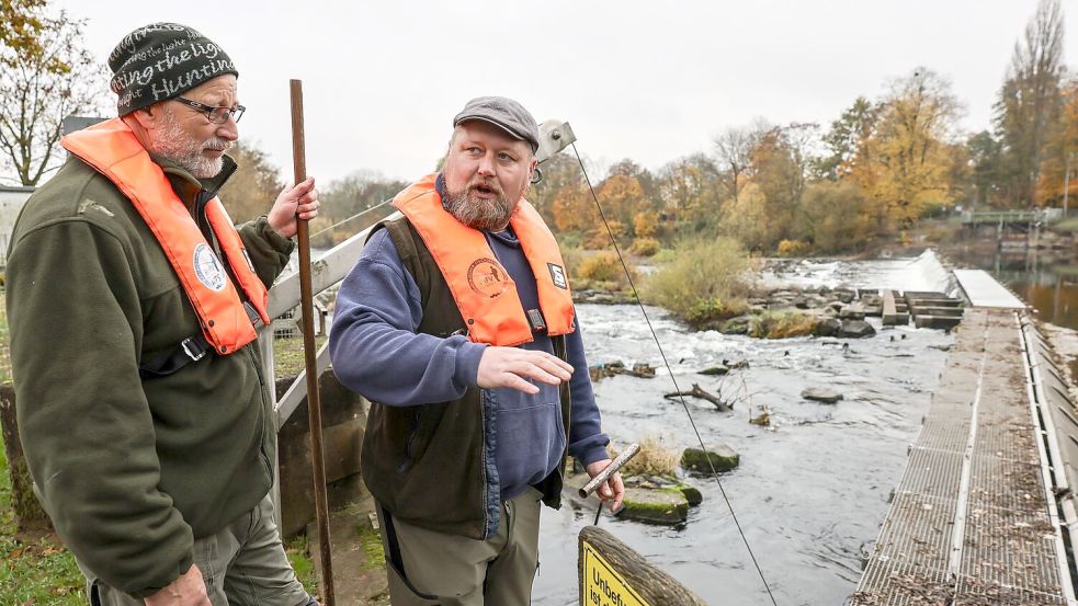 Fischwirt Dennis Bock (links) und Fischwirtschaftsmeister Sven Wohlgemut helfen deutschen Wildlachsen bei der Fortpflanzung. Foto: Oliver Berg/dpa