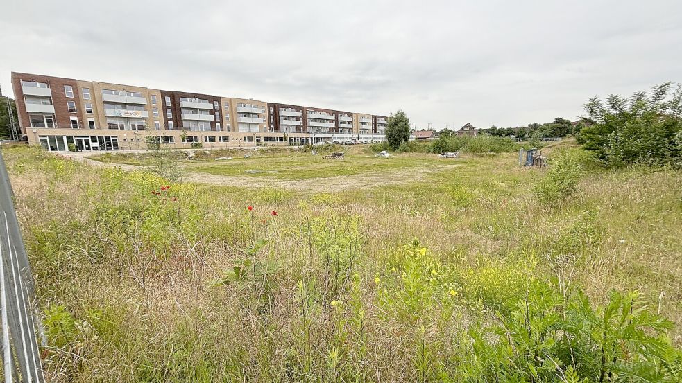 Derzeit ist hinter dem Riegelbau, der sich entlang der Großen Roßbergstraße befindet, noch eine große Brachfläche. Foto: Bothe/Archiv