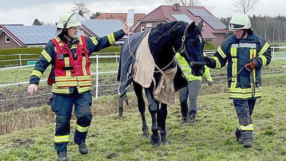 Nach der Rettung, noch am Tropf: Der Wallach läuft noch etwas steif, ist aber auf einem guten Weg. Foto: Feuerwehr