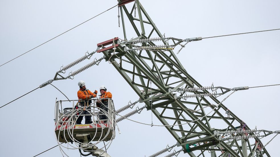 Für die Versorgungssicherheit sind Tausende Kilometer neue Stromleitungen nötig. Das kostet Milliarden. Foto: dpa/Jan Woitas