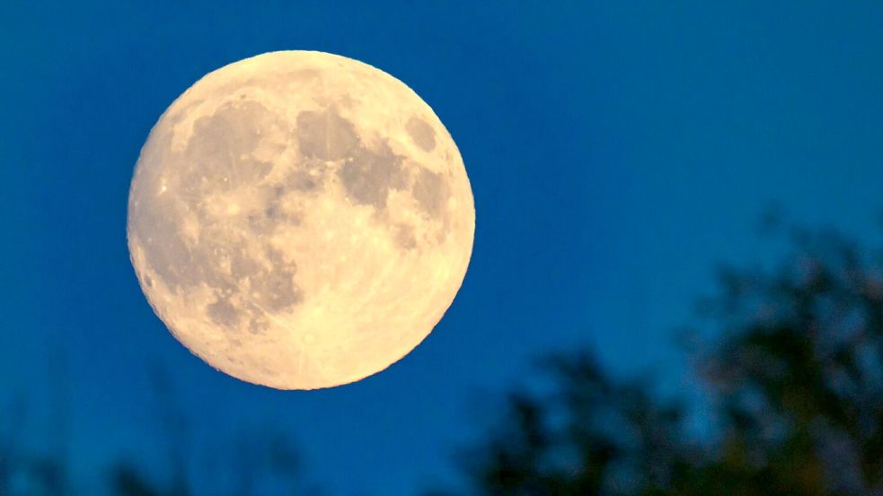 Der Mond zeugt von einer planetaren Katastrophe. (Archivbild) Foto: Patrick Pleul/dpa