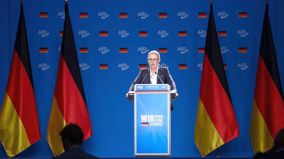 AfD-Chefin Alice Weidel teilt gegen den Verfassungsschutz aus. (Archivbild) Foto: Bernd von Jutrczenka/dpa