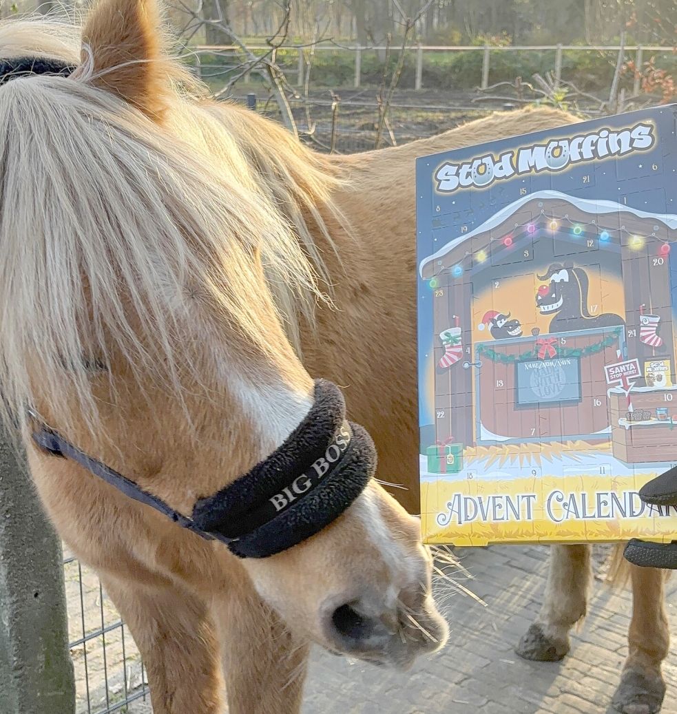 Celina Schlömp hat einen Adventskalender für ihr Pony Lucky. Foto: Schlömp