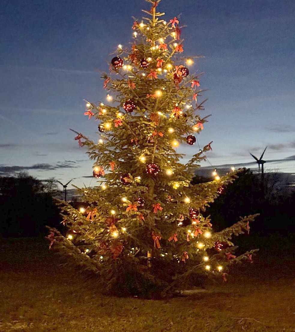 Diesen Baum hat der Förderverein des Erntedankfestes in Klostermoor aufgestellt und geschmückt. Foto: Förderverein