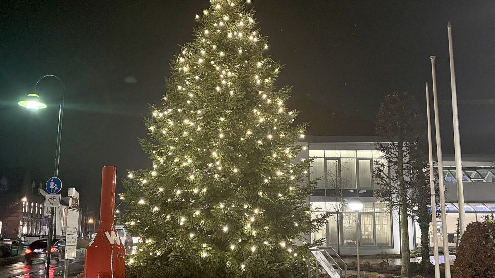 Vor der Volksbank Westrhauderfehn ist dieser imposante Weihnachtsbaum beim Kreisel am Untenende aufgestellt worden. Foto: Ammermann