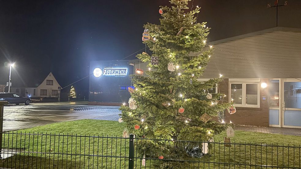 Die Mitglieder der Feuerwehr Rhaudermoor haben vor dem Feuerwehrgebäude einen Weihnachtsbaum aufgestellt. Foto: Ammermann