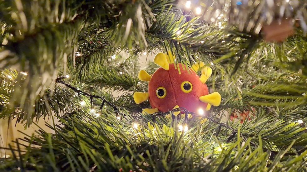 Im Tannenbaum von Reporter Claus Arne Hock hat sich das Coronavirus versteckt. Foto: Hock