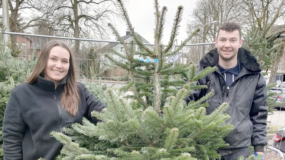 Denice Flörchinger und ihr Freund Joachim Groenewold verkaufen in Weener Weihnachtsbäume. Fotos: Lilienthal